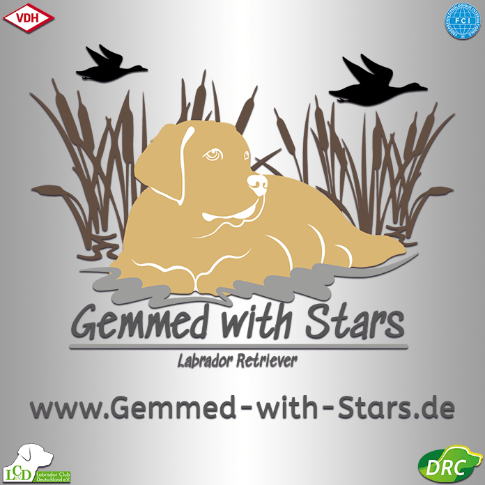 (c) Gemmed-with-stars.de