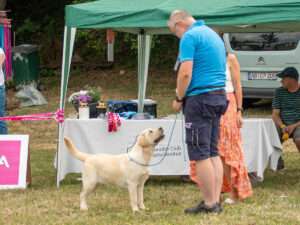 Hundefestival Kimbaland LCD SRA Alzey