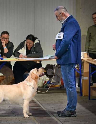 Doppel CACIB Kassel