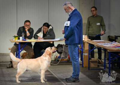 Lab Lodur's Wallander - *Jamie*