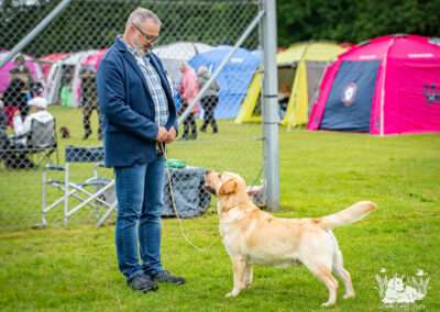 Lab Lodur’s Wallander