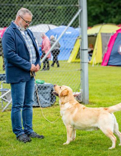 Lab Lodur’s Wallander