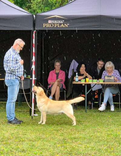 German Winner Show Gelsenkirchen