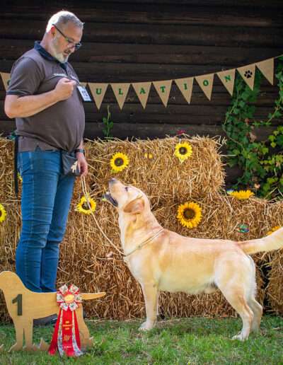 SRA Deutscher Retriever Club DRC - Wallendorf