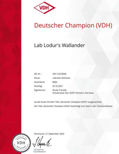 Deutscher Champion VDH