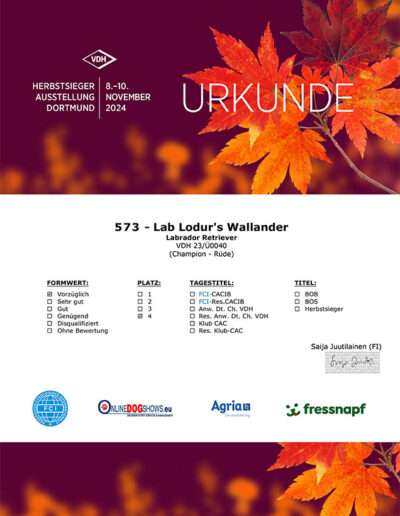 Herbstsieger & Bundessieger in Dortmund