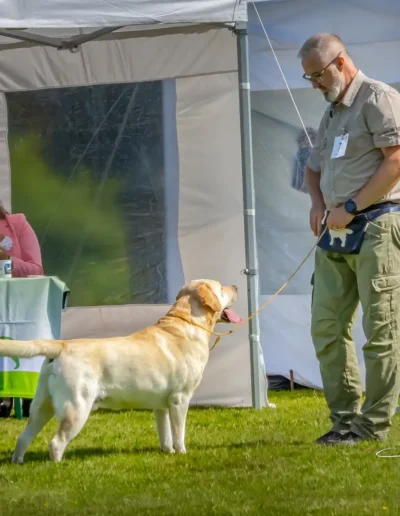SRA Deutscher Retriever Club DRC, Hoisdorf
