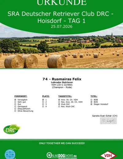 SRA Deutscher Retriever Club DRC, Hoisdorf