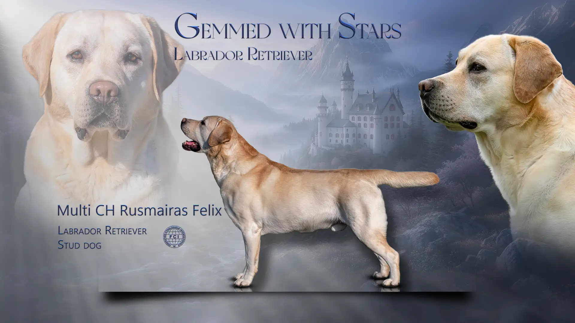 Multi CH Rusmairas Felix, Deckrüde im LCD, Deutscher Champion Club (DRC)<br />
Sieger Hoisdorf<br />
DRC Champion<br />
Belgian Exposition Champion<br />
Internationaler Champion<br />
Rumänischer Champion<br />
Bosnien – Herzegowina Champion<br />
Fed. – Bosnien – Herzegowina Champion<br />
Sieger Celle 2022<br />
Schweizer Jugend Champion