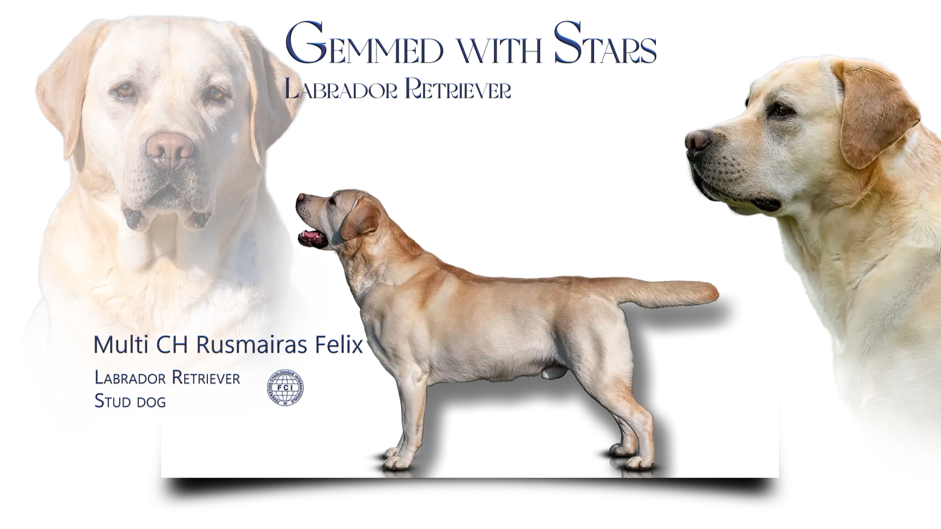 Multi CH Rusmairas Felix Multi CH Rusmairas Felix